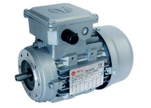 Motor trifásico 0.5 CV (0.37kW) 1500rpm 220/380V B3